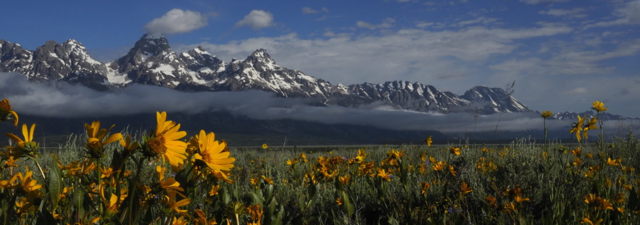 Grand Tetons